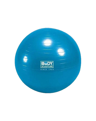 Picture of 30" ANTI-BURST GYMBALL/BLU-1200GM P6