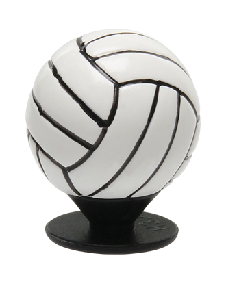 Picture of 3D Volleyball