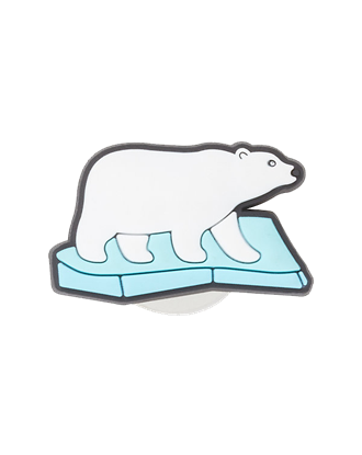 Picture of Polar Bear