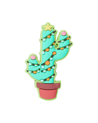 Picture of Holiday Cactus