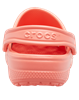 Picture of Classic Clog