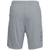 Picture of UA TECH GRAPHIC SHORT