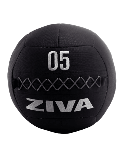 Picture of ZVO Premium Wall Ball 12 kg