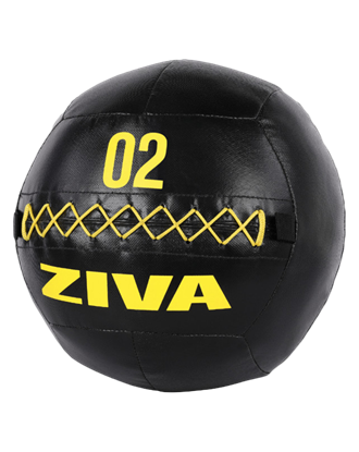 Picture of ZVO Premium Wall Ball 2 kg