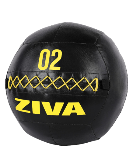 Picture of ZVO Premium Wall Ball 2 kg