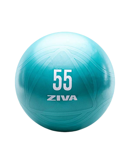 Picture of ZIVA 55cm Anti-Burst Ball w/ hand pump