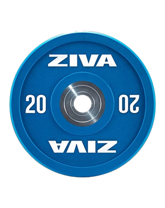 Picture of ZVO Rubber Competition Colored Training Bumper Disc 20 kg (120mm Hard Chrome Hub)