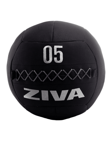 Picture of ZVO Premium Wall Ball 5 kg