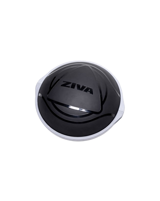 Picture of ZVO Balance Ball