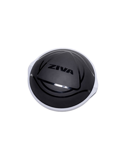 Picture of ZVO Balance Ball