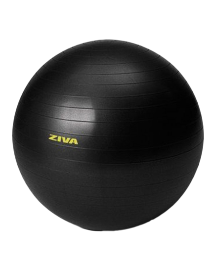 Picture of ZVO 75 cm Anti-Burst Core-Fit Ball