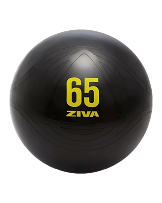 Picture of ZVO 65 cm Anti-Burst Core-Fit Ball