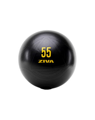 Picture of ZVO 55 cm Anti-Burst Core-Fit Ball