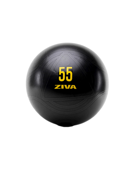 Picture of ZVO 55 cm Anti-Burst Core-Fit Ball