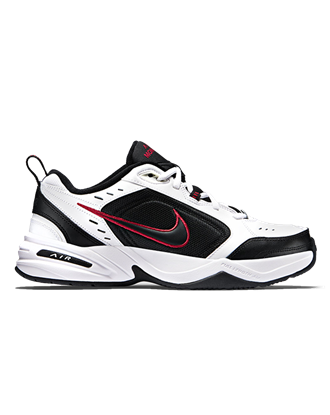 Picture of Nike Air Monarch IV