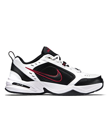 Picture of Nike Air Monarch IV