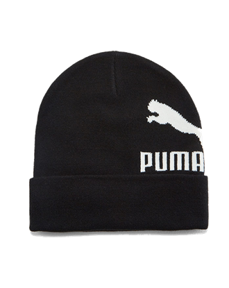 Picture of Archive logo beanie Puma Black