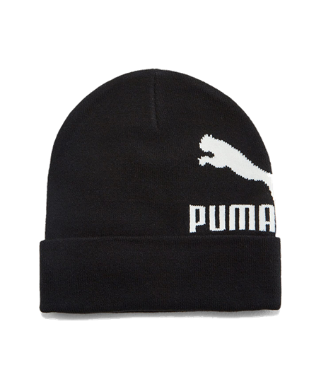 Picture of Archive logo beanie Puma Black