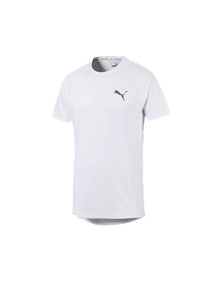 Picture of Evostripe Tee Puma White