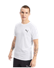 Picture of Evostripe Tee Puma White