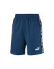 Picture of AMPLIFIED Shorts 9" TR Dark De