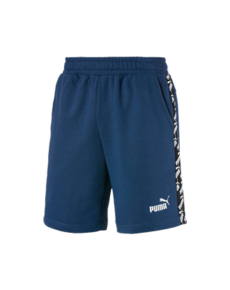 Picture of AMPLIFIED Shorts 9" TR Dark De