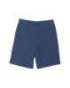 Picture of AMPLIFIED Shorts 9" TR Dark De