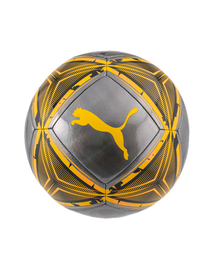 Picture of Puma SPIN ball