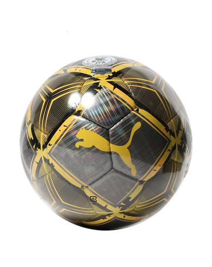 Picture of Puma SPIN ball