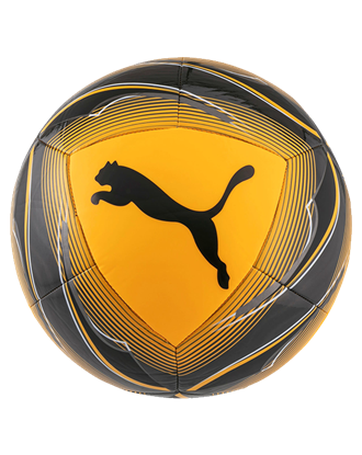 Picture of Puma ICON ball