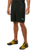 Picture of ftblNXT Shorts Puma Black-Lumi