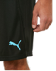 Picture of ftblNXT Shorts Puma Black-Lumi