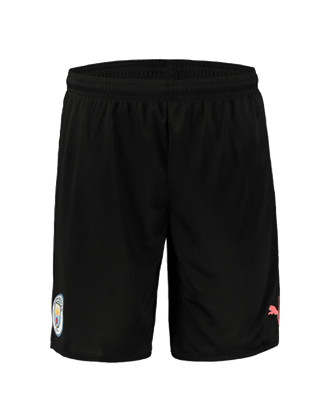 Picture of MCFC Shorts Replica Jr Puma Bl