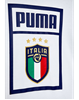 Picture of FIGC PUMA DNA Tee Jr Puma Whit