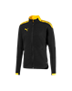 Picture of ftblNXT Pro Jacket