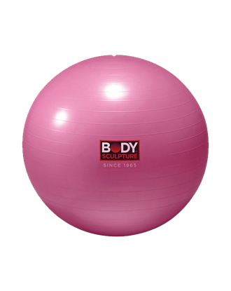 Picture of 22" ANTI-BURST GYMBALL/PNK-800GM P3