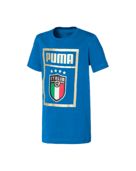 Picture of FIGC PUMA DNA Tee Jr Team Powe