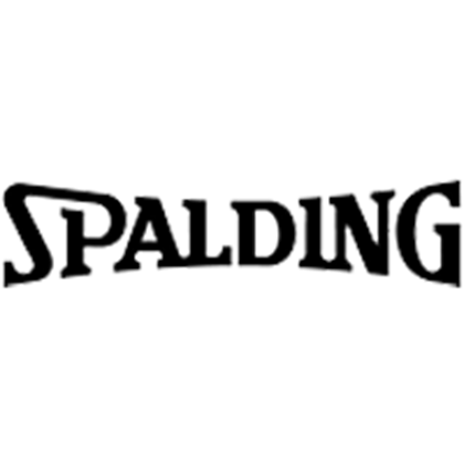 Picture for manufacturer Spalding