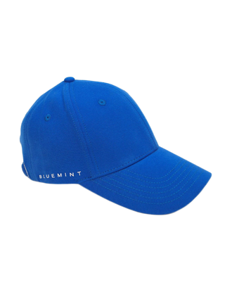 Picture of REX  DAZZLING BLUE CAP