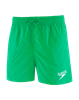 Picture of Essential 13" Watershort