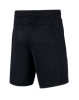 Picture of NJR B NK DRY SHORT KZ