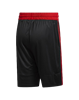 Picture of MEN'S BASKETBALL SHORTS 3G SPEED ​​X