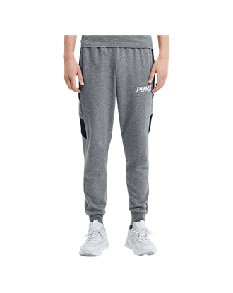 Picture of Puma MODERN SPORTS Fleece Pants