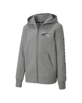 Picture of Puma Alpha Full-Zip Hoodie Fleece