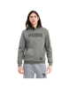 Picture of Puma Athletics Fleece Hoodie Fleece