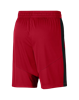 Picture of NIKE Jordan Jumpman Men's Basketball Shorts