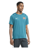 Picture of Nike Men's  DRI-FIT RISE 365 WILD RUNNING TEE