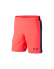 Picture of NIKE Dri-Fit Academy Men's football Shorts