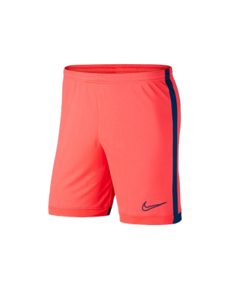 Picture of NIKE Dri-Fit Academy Men's football Shorts