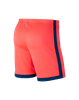 Picture of NIKE Dri-Fit Academy Men's football Shorts